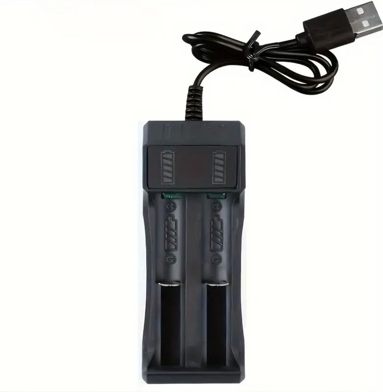 Dobbel USB batterilader