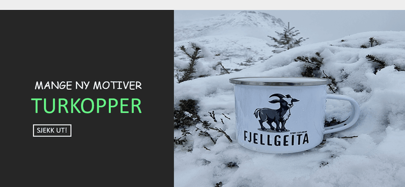 Emaljekopper